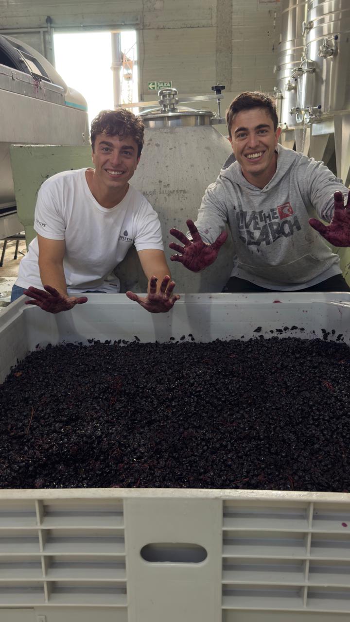 Flor Silvestre winemakers sorting grapes